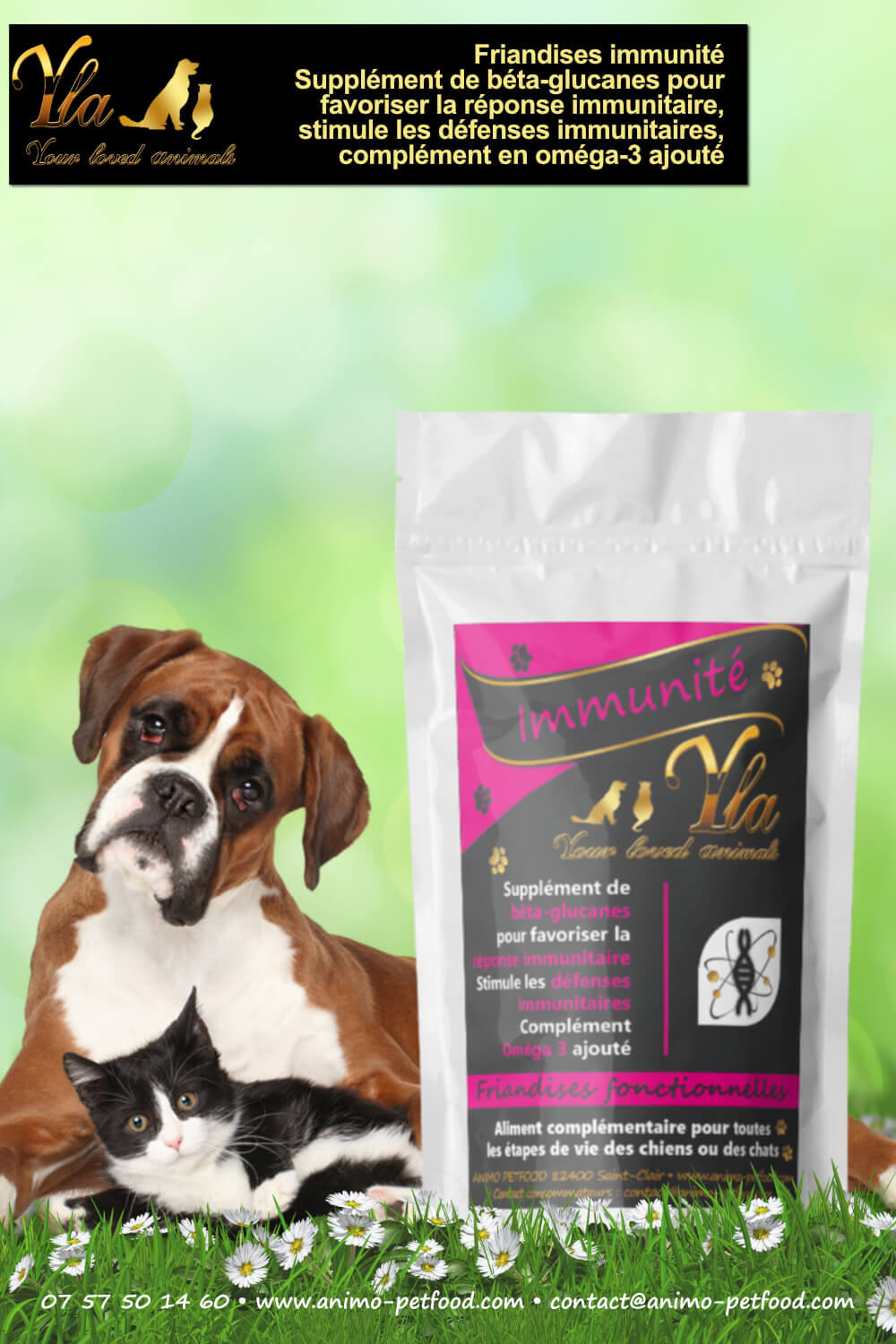 friandises-pour-immunité-chien-chat